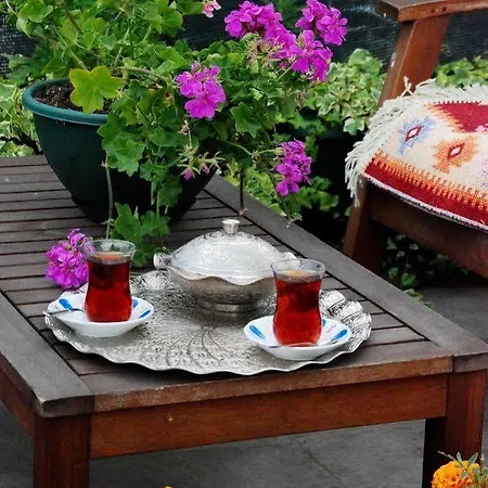 Hotell Nicoleport Istanbul